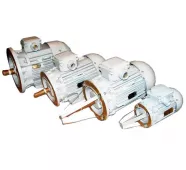 Двигатель асинхронный ДРО 12-2-02 фото